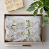 Weiße Orchideen Seidenpapier (Geschenk)