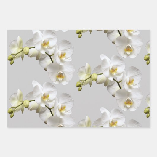 Weiße Orchideen Silbergraue Papiertüten Geschenkpapier Set (Vorderseite 2)