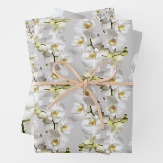 Weiße Orchideen Silbergraue Papiertüten Geschenkpapier Set (Beispiel)