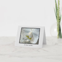 Weiße Orchideen-Touch Gelber Tiefer Beileid