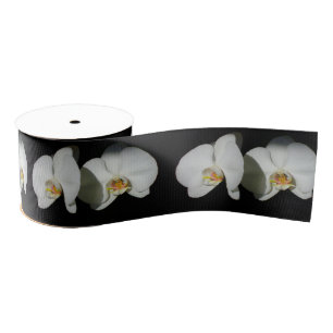 Weiße Orchideen, tropisches Foto Ripsband