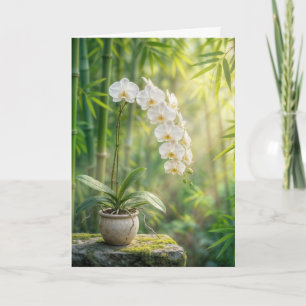Weiße Orchideen und Bambus zum Geburtstag Karte