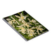 Weiße Orchideen und Fernen Notizblock (Rechte Seite)