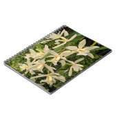 Weiße Orchideen und Fernen Notizblock (Linke Seite)