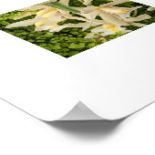 Weiße Orchideen und Fernen Poster (Ecke)