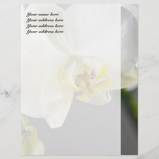 Weiße Orchideenblüte Briefbogen (Vorderseite)
