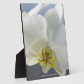 Weiße Orchideenblüte Fotoplatte (Seite)
