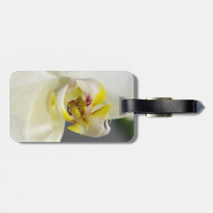 Weiße Orchideenblüte Gepäckanhänger