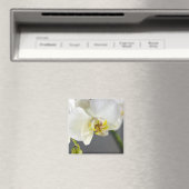 Weiße Orchideenblüte Magnet (In Situ (Geschirrspüler))