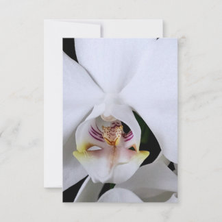 Weiße Orchideenblüten-Dankeskarte Dankeskarte