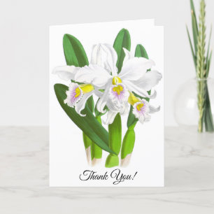 Weiße Orchideenblüten Personalisierte Karte im Vin