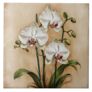 Weiße Orchideenblüten Vintage-Botanik Fliese