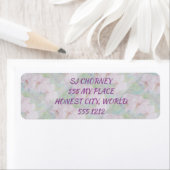 WEISSE ORCHIDEN (Insitu)