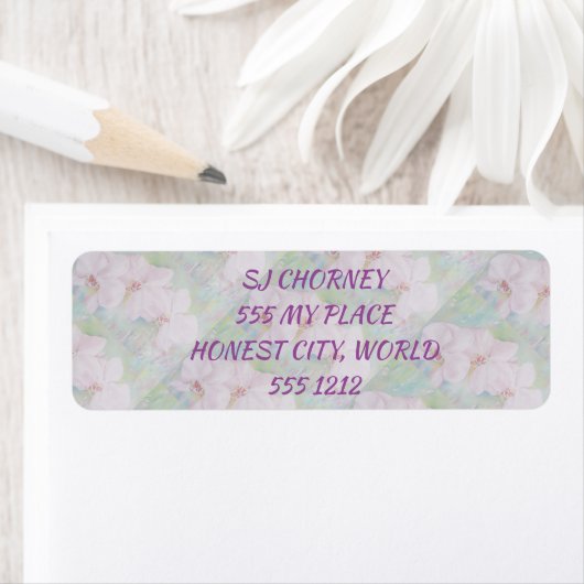 WEISSE ORCHIDEN (Insitu)