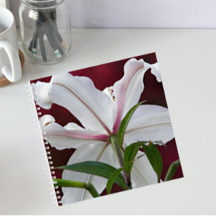 Weiße Orientalische Lilienblüten-Blumen Notizblock