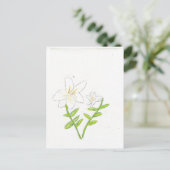 Weiße Osterlilie Postkarte (Stehend Vorderseite)