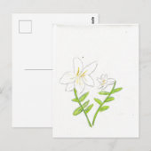 Weiße Osterlilie Postkarte (Vorne/Hinten)