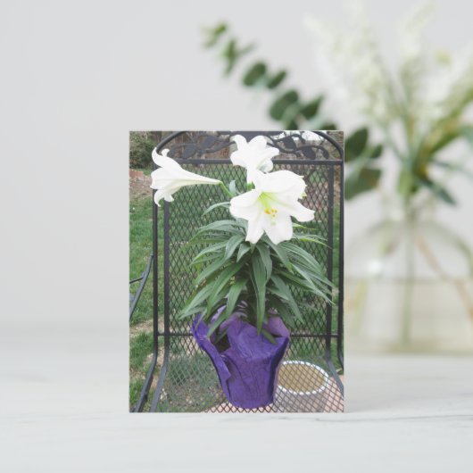 Weiße Osterlilien-Postkarte Feiertagspostkarte (Stehend Vorderseite)