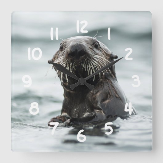 Weiße Otter Quadratische Wanduhr (Vorderseite)