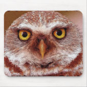 Weiße Owl Wildlife Art Tierfreunde Mousepad (Vorne)