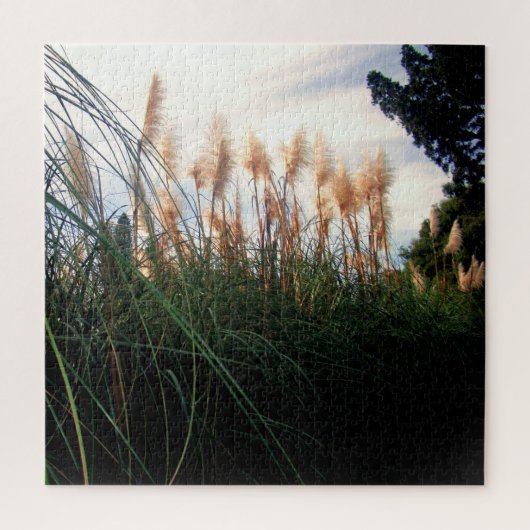 Weiße Pampas Grass Blooms, Jigsaw Puzzle (Vertikal)