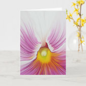 Weiße Pansy-Gruß-Karte Karte (Gelbe Blume)