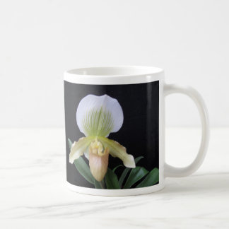 Weiße Pantoffel-Orchideen-Tasse Kaffeetasse