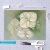 Weiße Pastelle Hydrangea Blütencreme Seidenpapier (Handwerk)