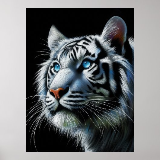 Weiße Pastelle Zeichnend Tiger Poster (Vorne)