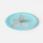 Weiße pastellfarbene Blume Aquarell Pappteller (Schrägansicht)