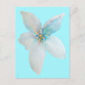 Weiße pastellfarbene Blume Aquarell Postkarte (Vorderseite)