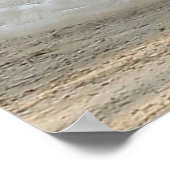 WEISSE PEACOCK POSTER (Ecke)