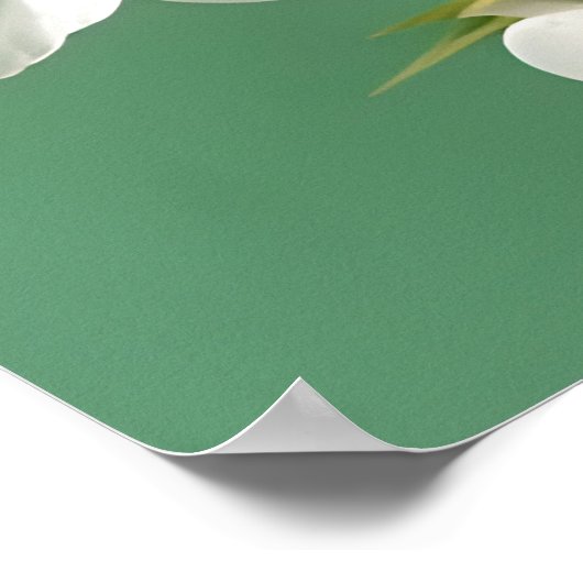 Weiße Peonies mit Frühlingsblumen auf Grün Poster (Ecke)