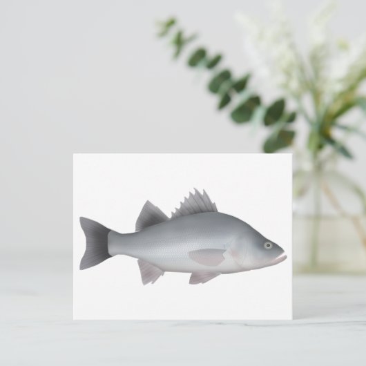 Weiße Perle Postkarte (Stehend Vorderseite)