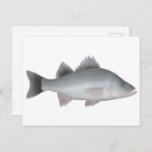 Weiße Perle Postkarte (Vorne/Hinten)