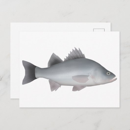 Weiße Perle Postkarte (Vorne/Hinten)