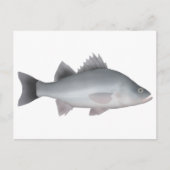 Weiße Perle Postkarte (Vorderseite)