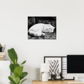 Weiße Perser-Schlafkatze Poster (Heimbüro)