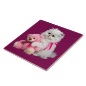 Weiße Perser und Teddybären dekorative Tile Fliese (Seite)