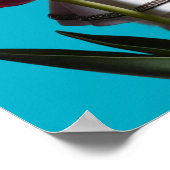 Weiße Perserblume Poster (Ecke)