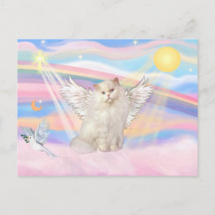 Weiße Perserkatze Engel in Wolken Postkarte