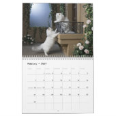 Weiße Perserkatze Kalender (Feb 2027)