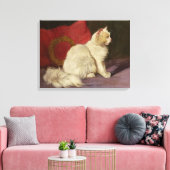 Weiße Perserkatze Leinwanddruck (Insitu (Wohnzimmer))