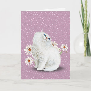 weiße Perserkatze mit Gänseblümchen Karte