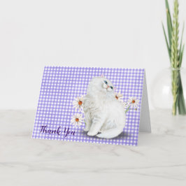 Weiße Perserkatze und Daisy Dankeskarte