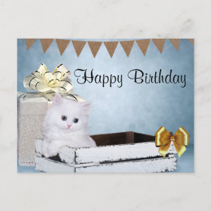 Weiße Perserkatze zum Geburtstag Postkarte