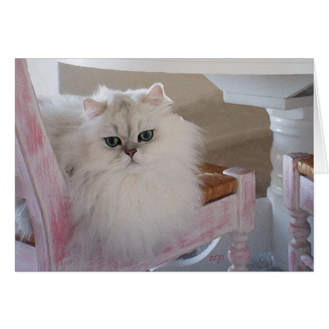 Weiße persische Katze auf rosa Stuhl (Vorderseite (Horizontal))