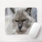 Weiße persische Katze in Wasserfarbe Mousepad (Mit Mouse)