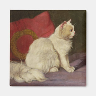 Weiße persische Katze Magnet