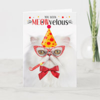 Weiße persische Katze MEOWvelous Geburtstag